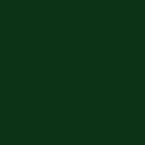 zelená - (RAL6005)
