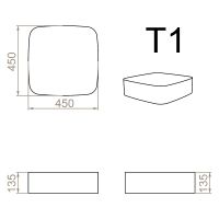 Mini T1
